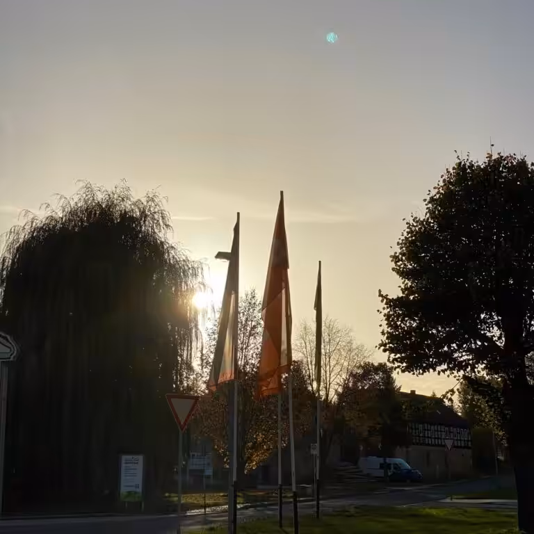 Sonnenuntergang hinter Bäumen und Fahnen in Stadtansicht.