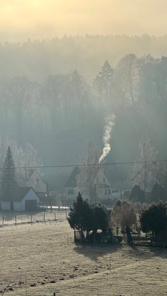 Haus mit Schornstein im nebligen Wald