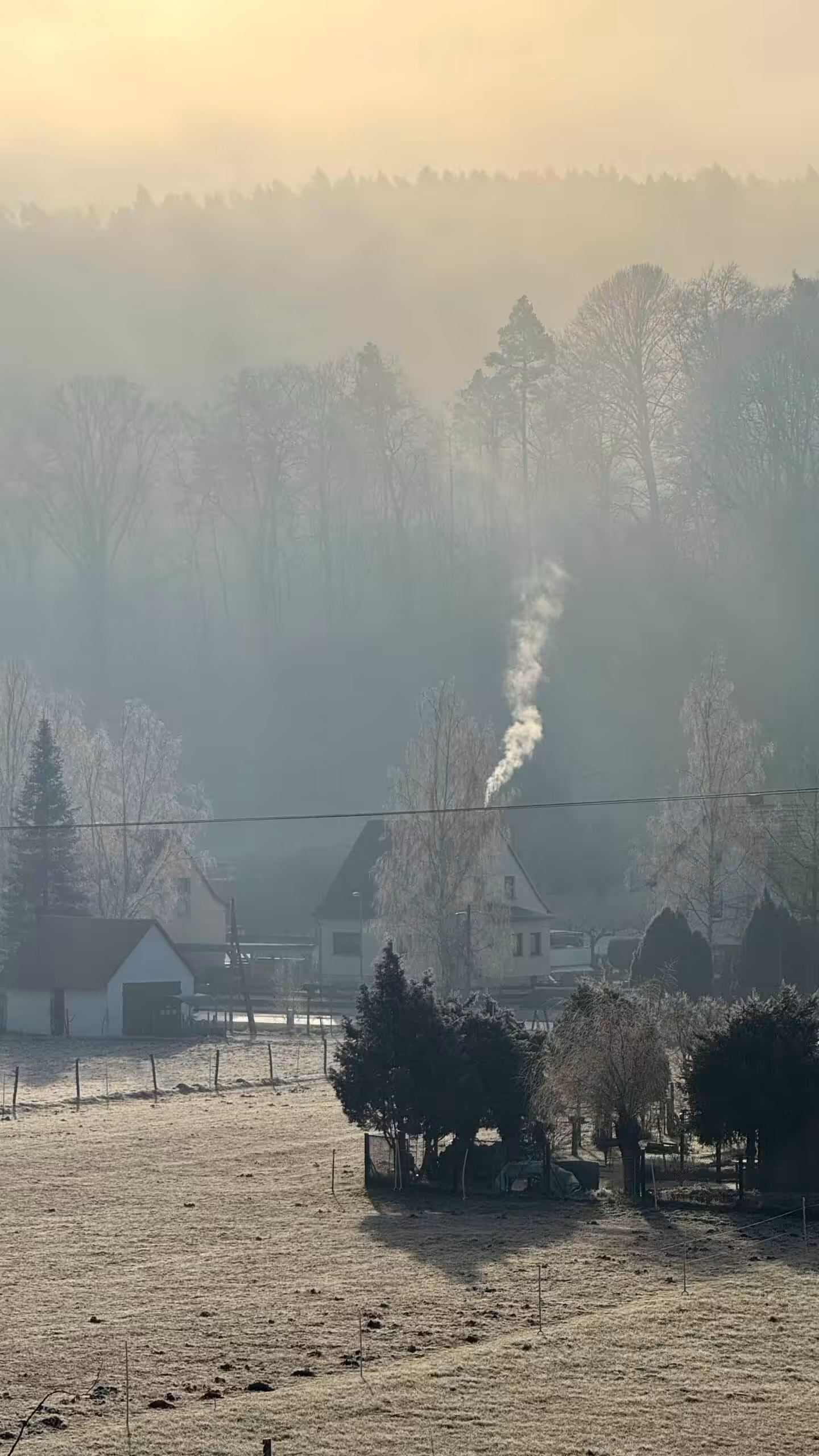 Haus mit Schornstein im nebligen Wald