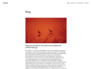 Twenty Twenty-Five WordPress Theme Screenshot