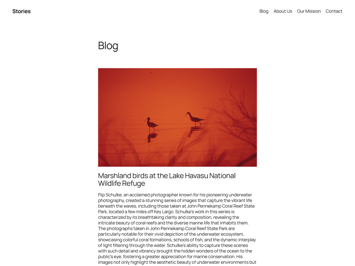 Twenty Twenty-Five Wordpress Theme Screenshot
