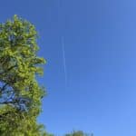 So soll Frühling sein