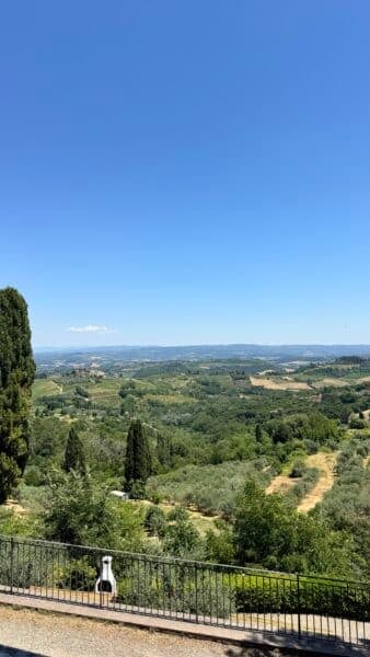 img 8991